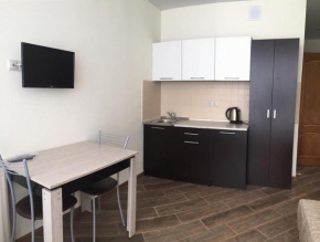 Apartment on Chkalova 13-3